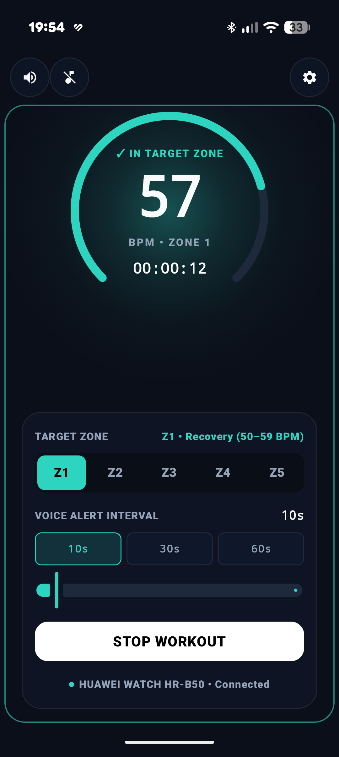 ZoneTrainer Active Workout Gauge In-Zone Screenshot